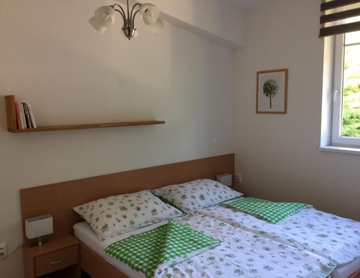 Apartman U Sjezdovky Velke Karlovice Exterior photo
